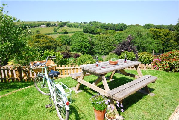 bike and picnic bench in garden, vineyard view